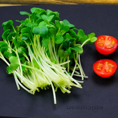 シンプル！和風オニオンサラダ