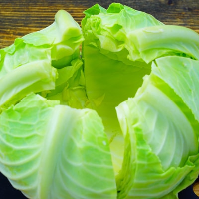 巻かない!丸ごとロールキャベツ