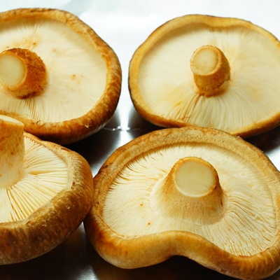 群馬県下仁田産!原木生椎茸のホイル焼き