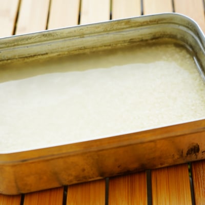 お酒のシメに!ごま鯛茶漬け