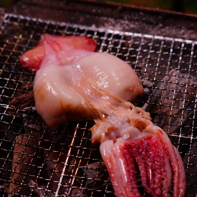 炭火で焼く！イカの丸ごと焼き