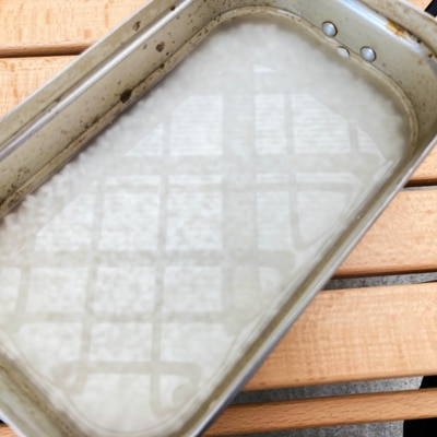 梅がうめ〜!さっぱりちりめんご飯